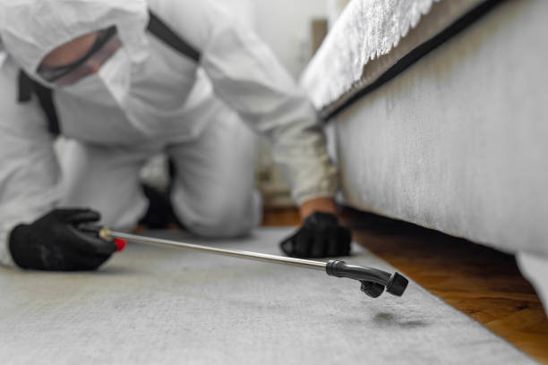 Professional Emergency Pest Control technician working in Palm Shores, FL