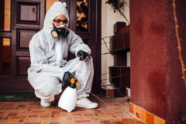 Reliable Emergency Pest Control contractor in Palm Shores, FL by Nex Pest Control