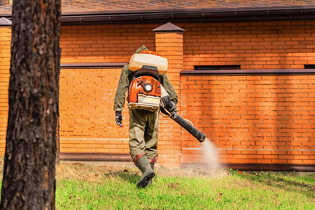 Trusted Fumigation Services service in Palm Shores, FL - Nex Pest Control